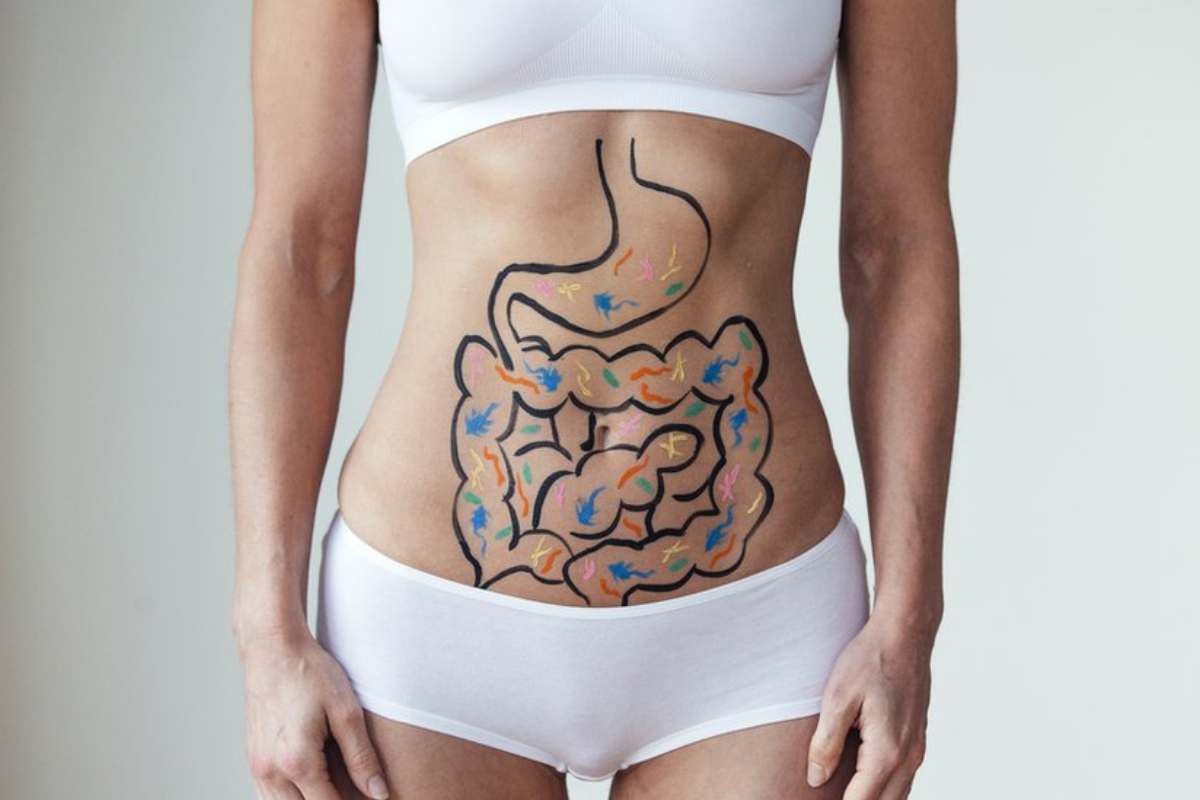Intestino