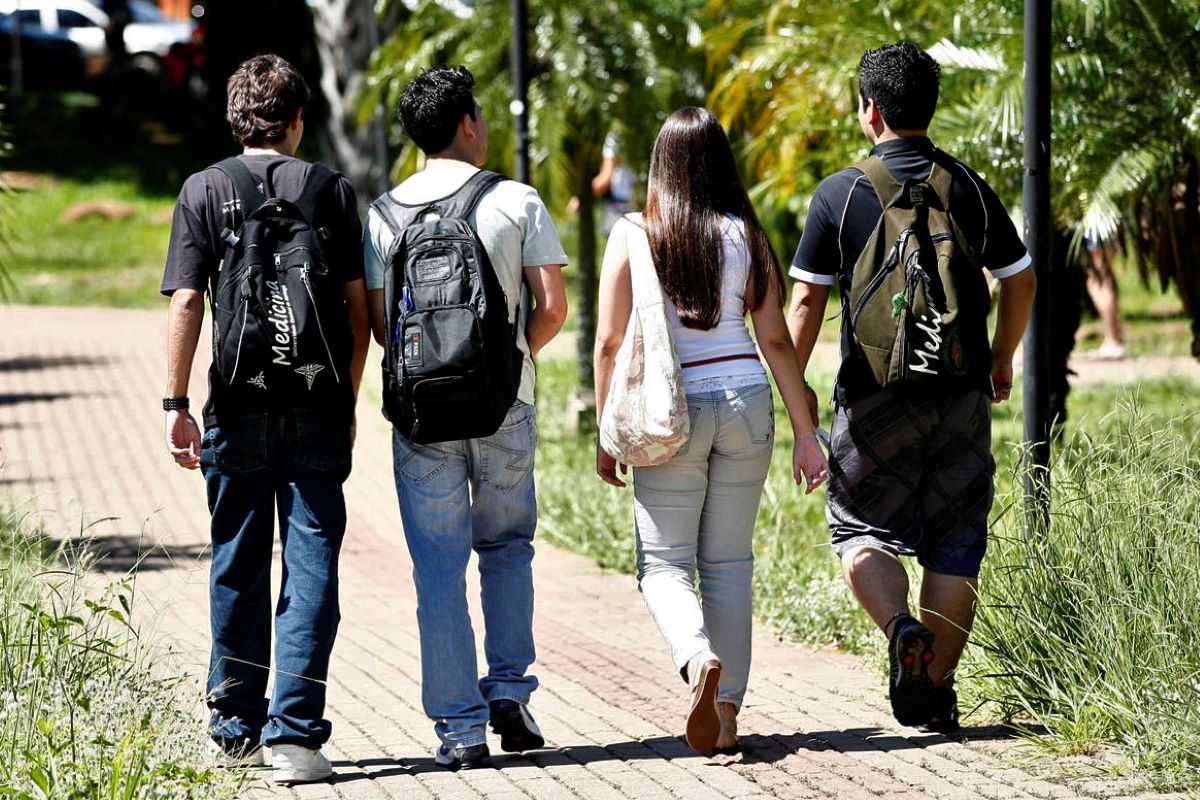 universidade universidade