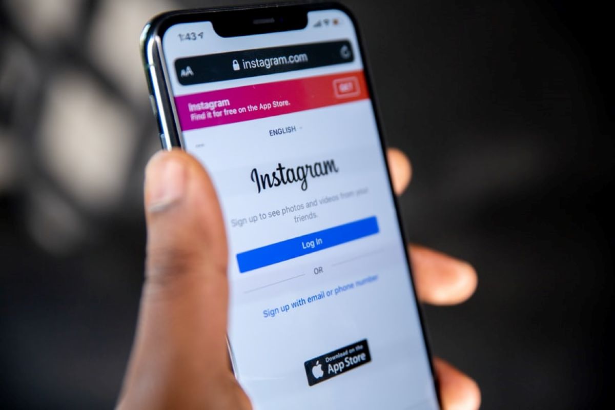 ganhar seguidores orgânicos no instagram ganhar seguidores orgânicos no instagram