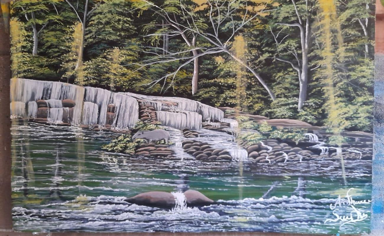 artista-pauiniense Artista Pauiniense