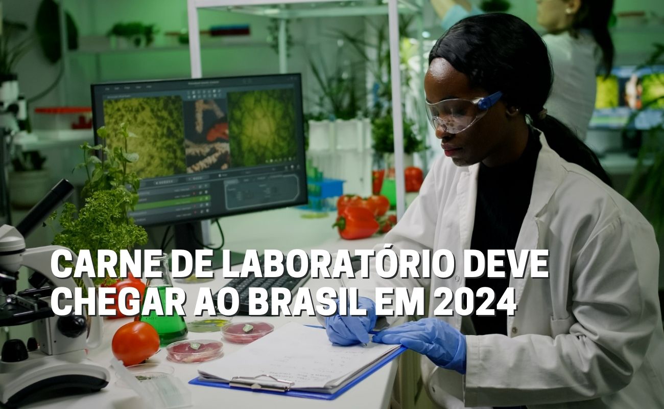 carne-laboratorio Carne cultivada em laboratório deve chegar ao Brasil no próximo ano
